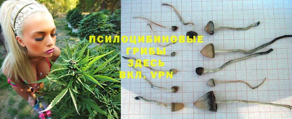 прущая мука Гусь-Хрустальный