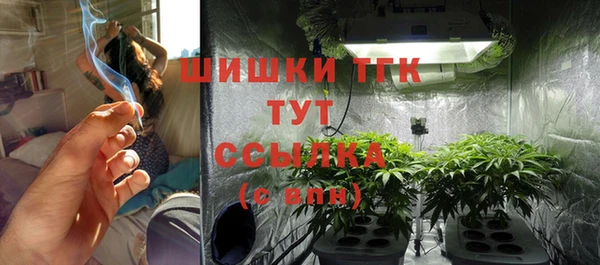 ПСИЛОЦИБИНОВЫЕ ГРИБЫ Новодвинск