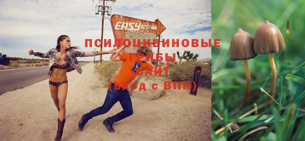 марки nbome Дмитровск
