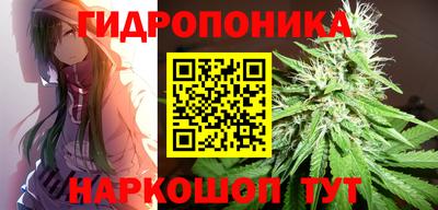 jwh Краснодар