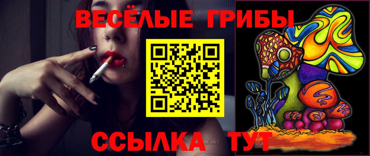 Галлюциногенные грибы GOLDEN TEACHER Осинники